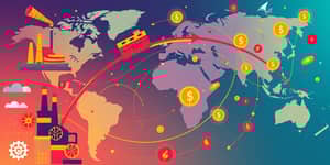 El Ciclo del Capital: Entendiendo los Flujos Globales